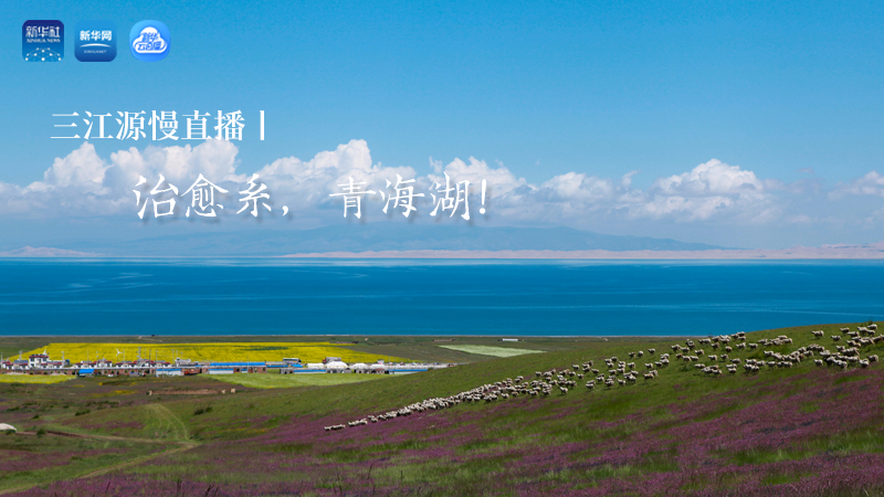 三江源慢直播丨治愈系，青海湖！